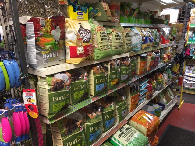 All the small animal food and treats you will ever need